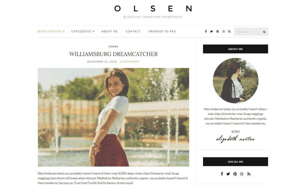 tampilan tema olsen light