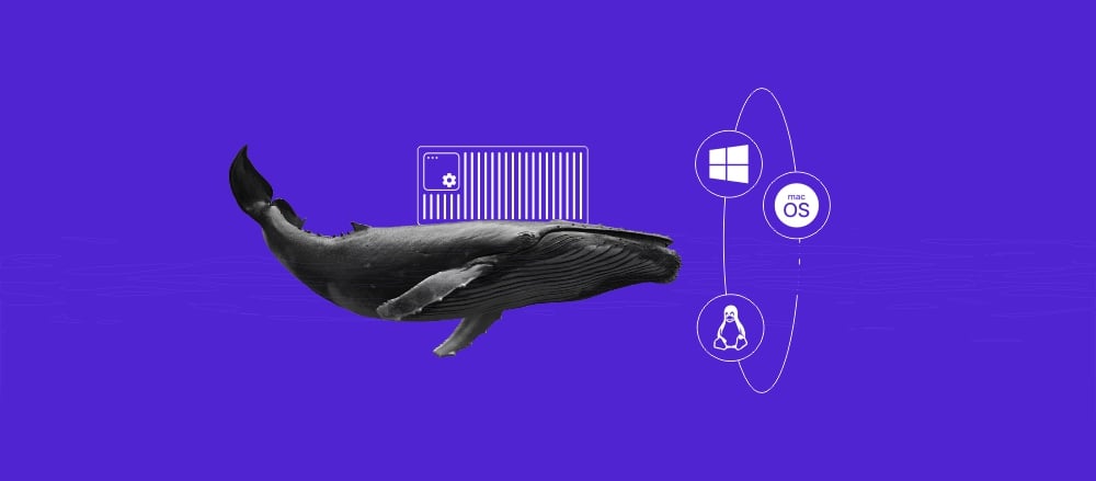 How to set up and use a private Docker registry 